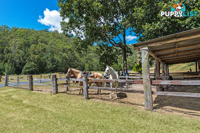 416 Woodward Road Armstrong Creek QLD 4520