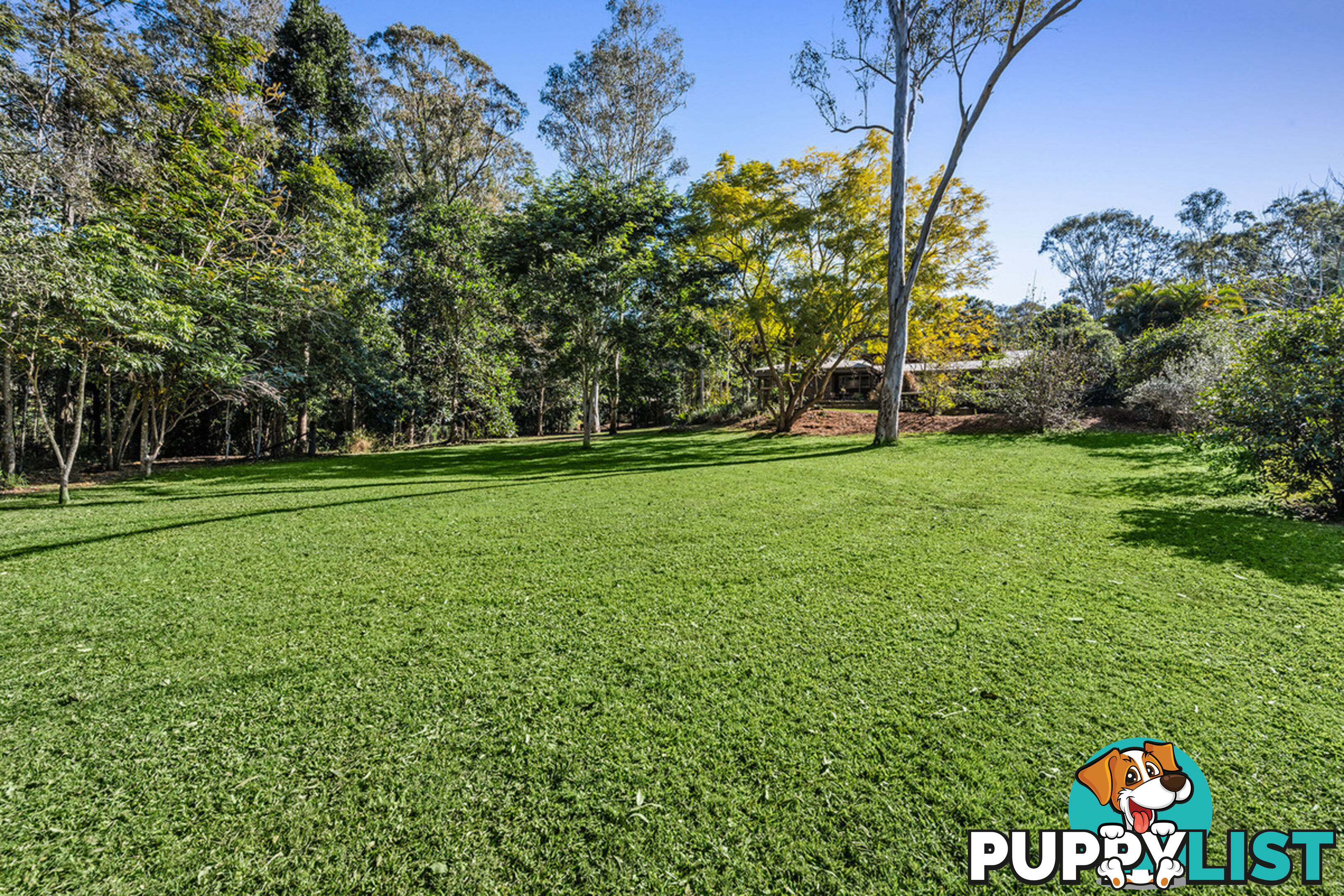 24 McCombe Road Camp Mountain QLD 4520