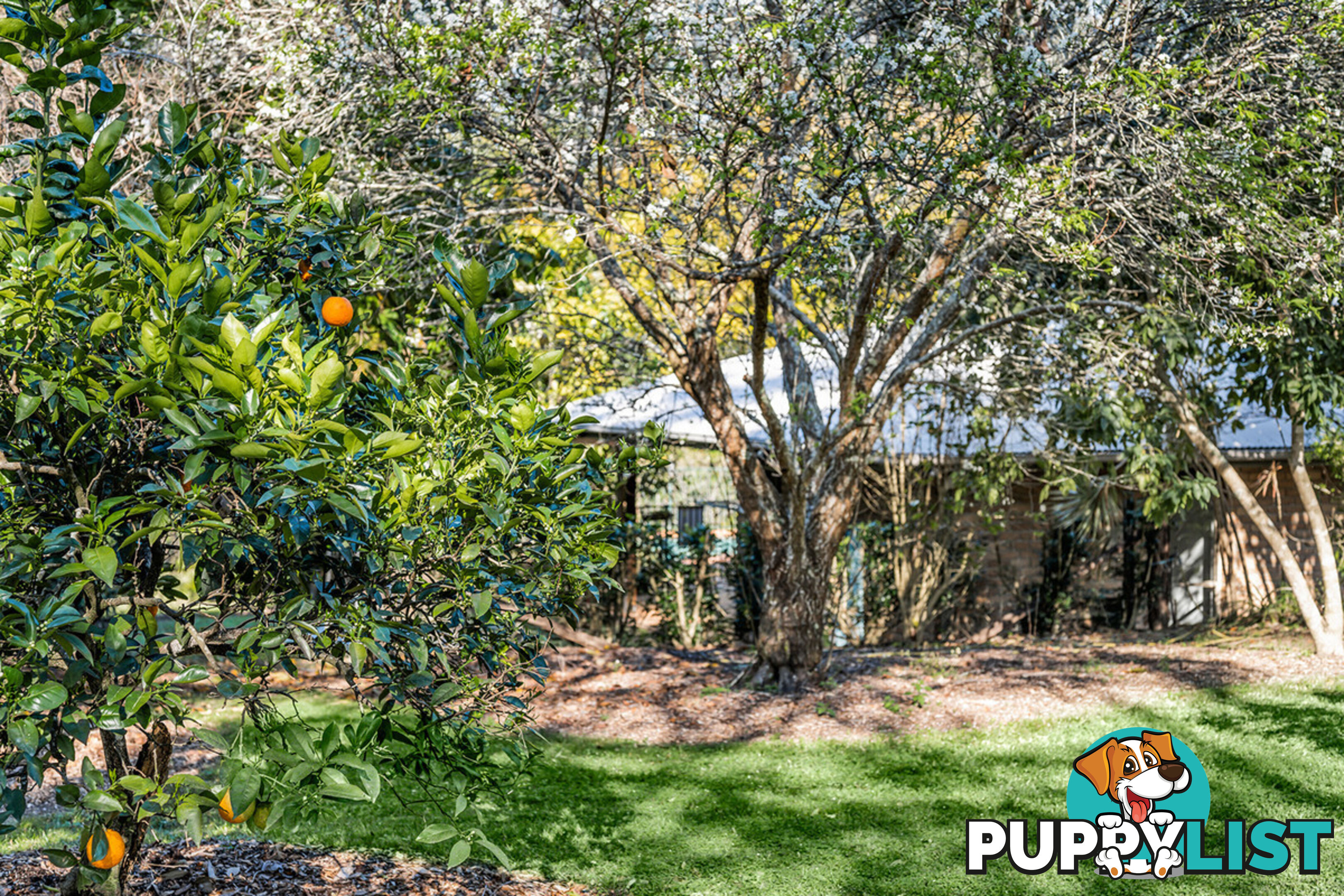 24 McCombe Road Camp Mountain QLD 4520