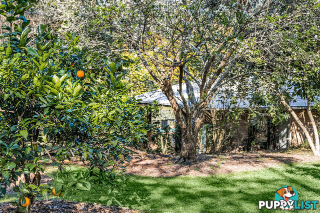 24 McCombe Road Camp Mountain QLD 4520