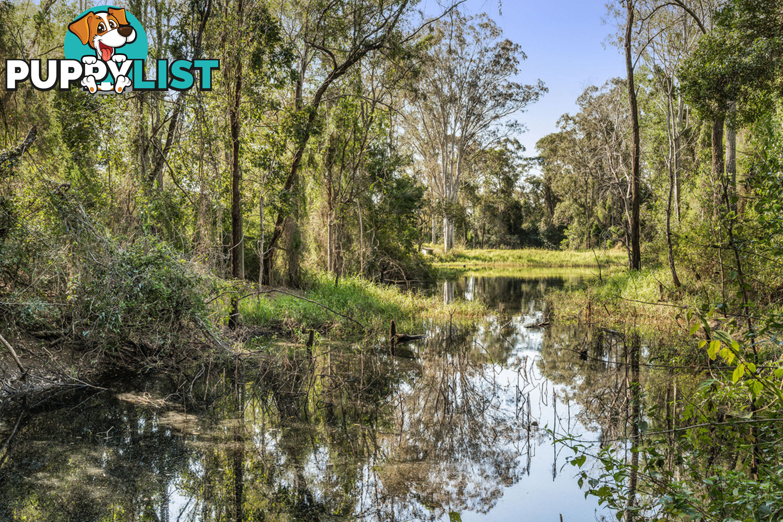 24 McCombe Road Camp Mountain QLD 4520