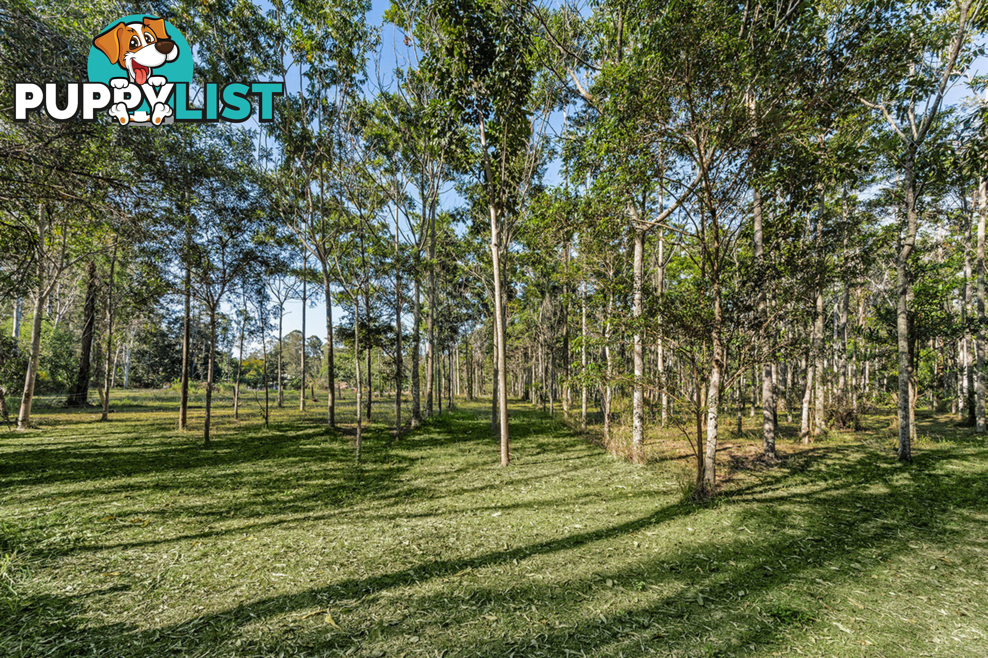 24 McCombe Road Camp Mountain QLD 4520