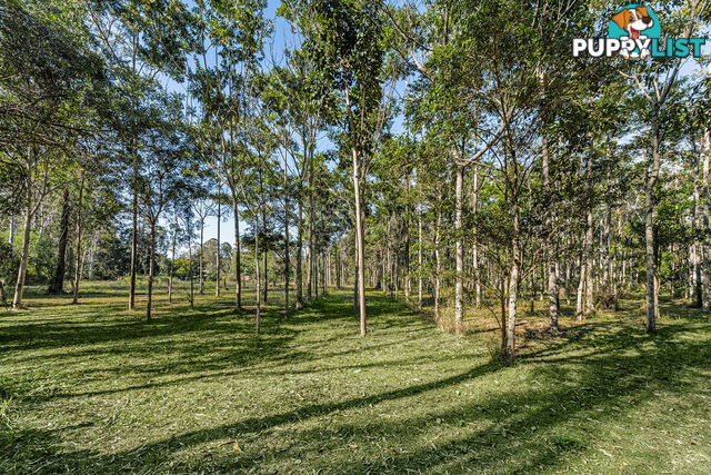 24 McCombe Road Camp Mountain QLD 4520