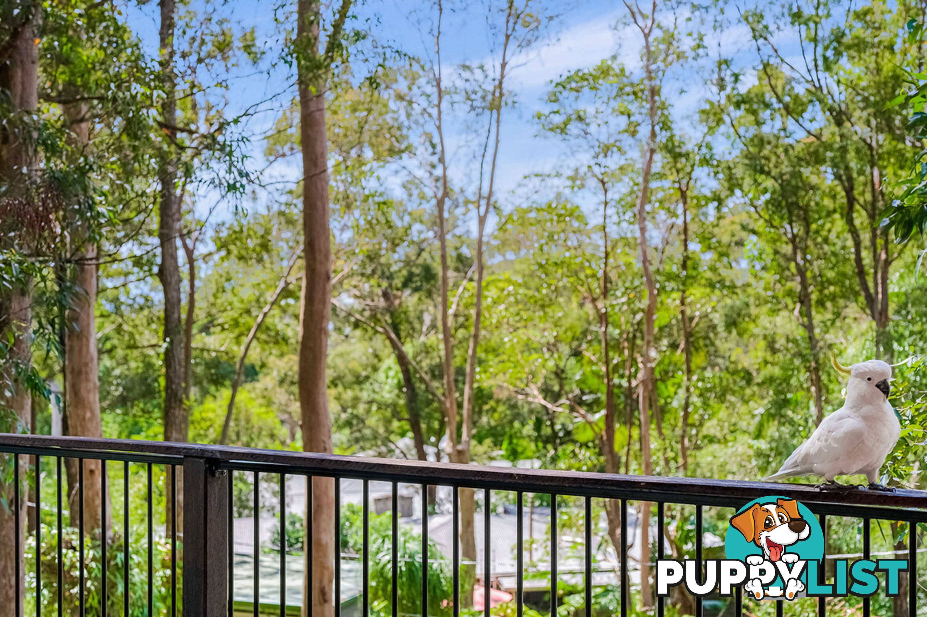 19 Wentworth Avenue Mount Nebo QLD 4520