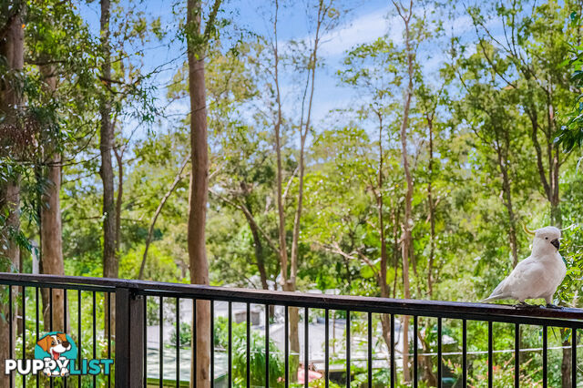 19 Wentworth Avenue Mount Nebo QLD 4520