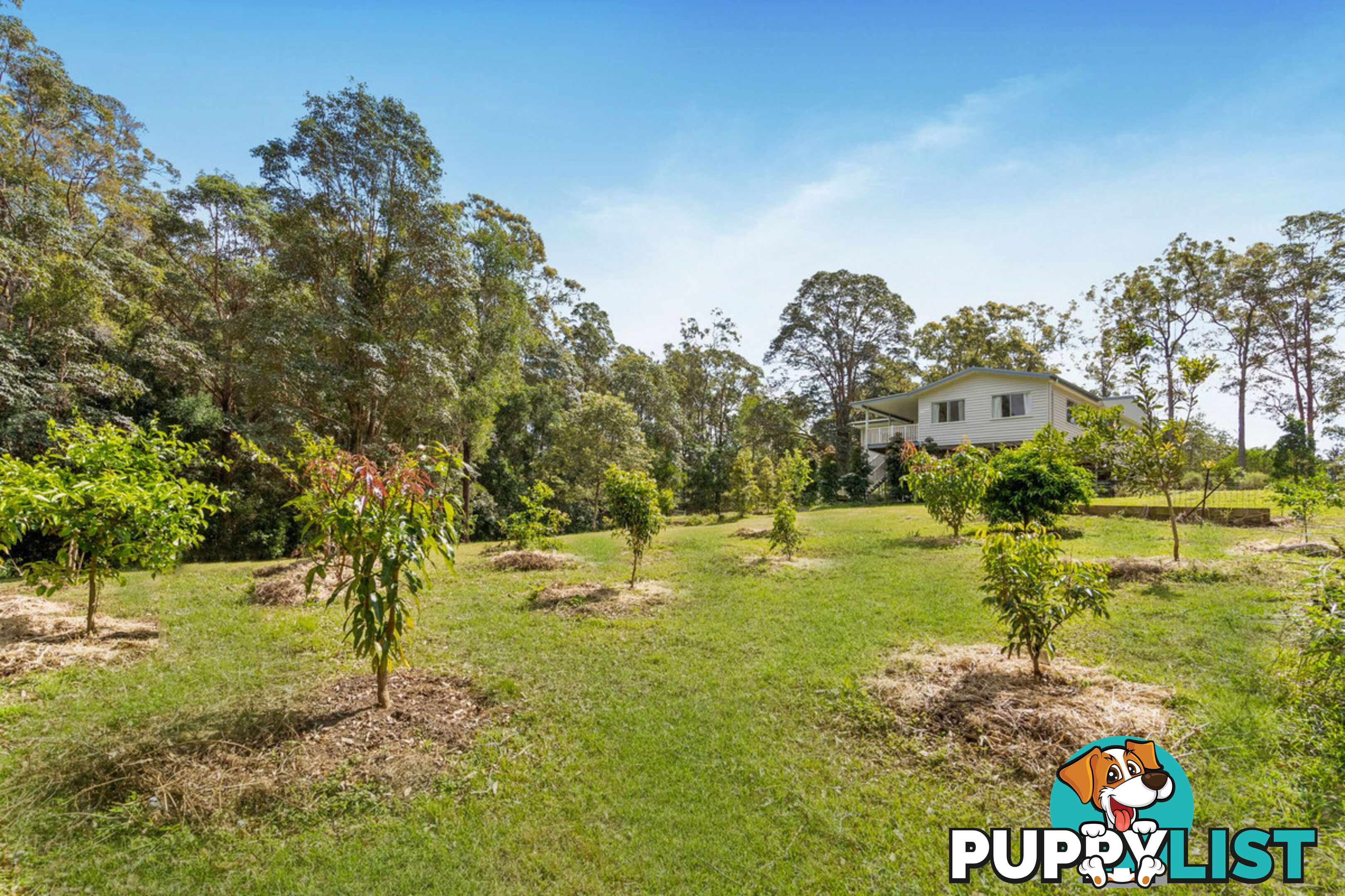 368 Sunrise Drive Ocean View QLD 4521