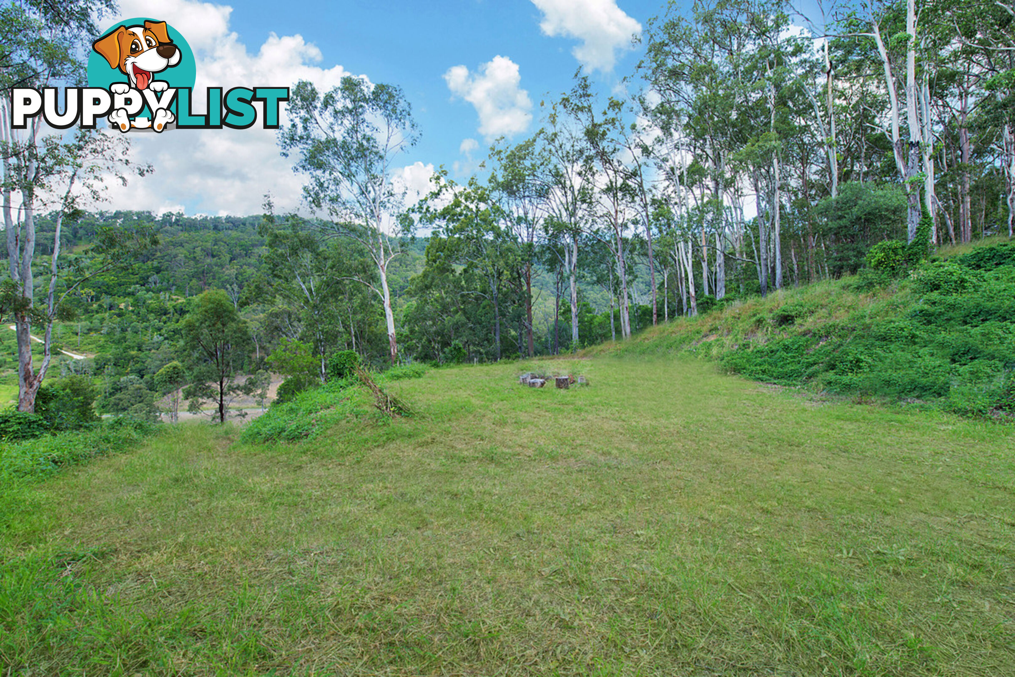 17 206 Morrison Road Cedar Creek QLD 4520