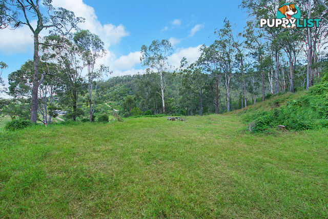 17 206 Morrison Road Cedar Creek QLD 4520