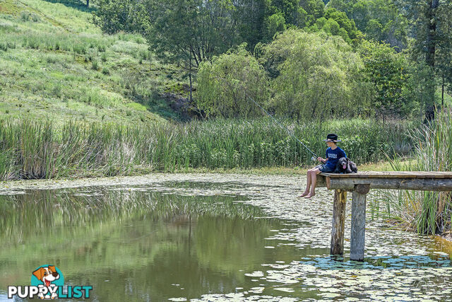 Valley Views Estate, Bond Road King Scrub QLD 4521