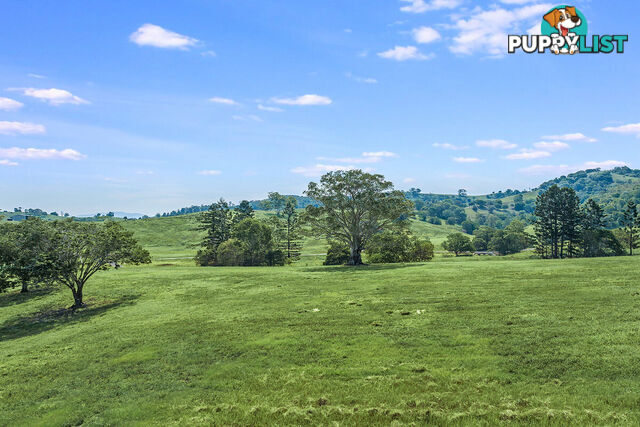 Valley Views Estate, Bond Road King Scrub QLD 4521