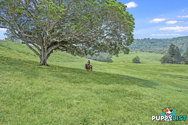 Valley Views Estate, Bond Road King Scrub QLD 4521