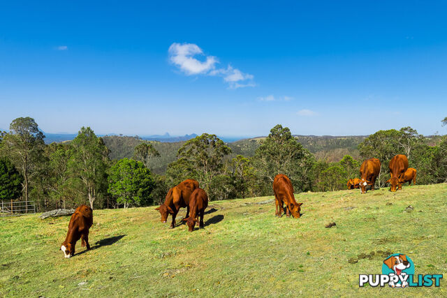 180-226 Hausmann Road Mount Mee QLD 4521