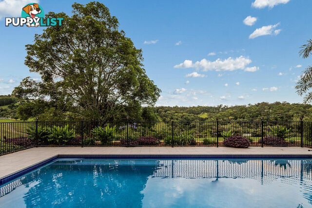 85 Dobson Road Clear Mountain QLD 4500