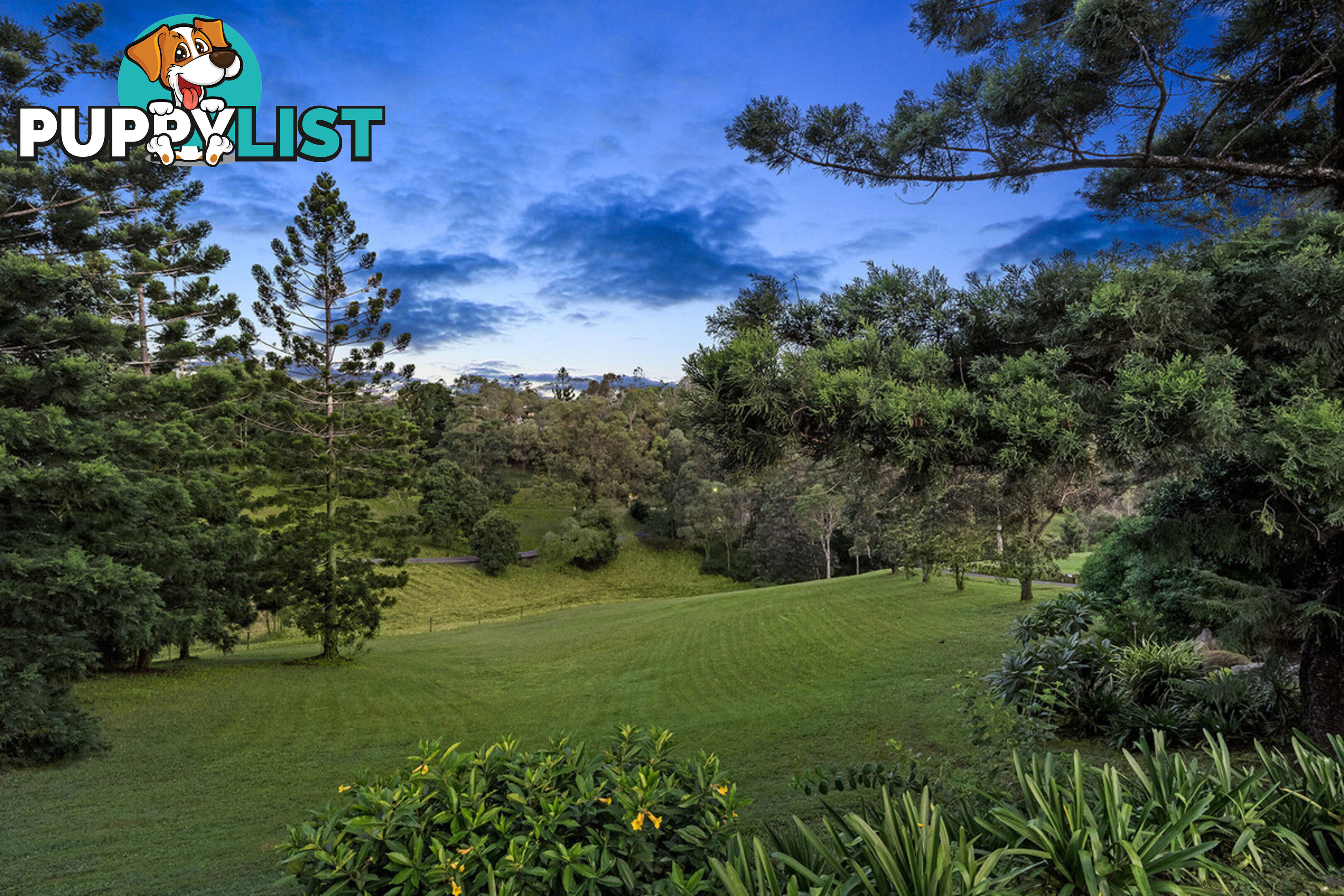 5 Pepperberry Court Cedar Creek QLD 4520