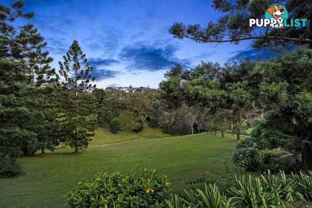 5 Pepperberry Court Cedar Creek QLD 4520