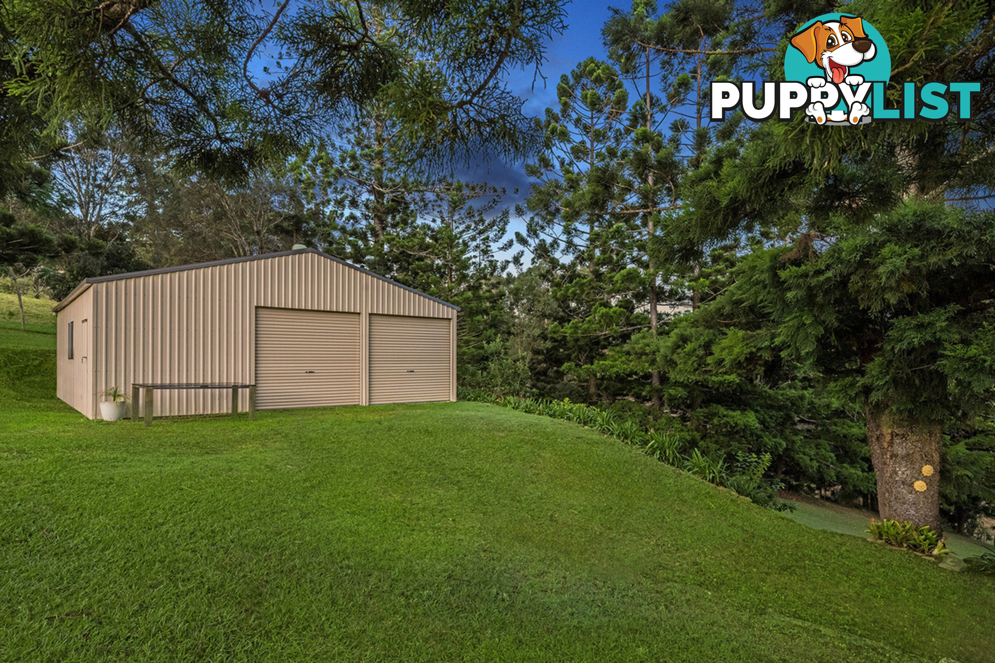 5 Pepperberry Court Cedar Creek QLD 4520