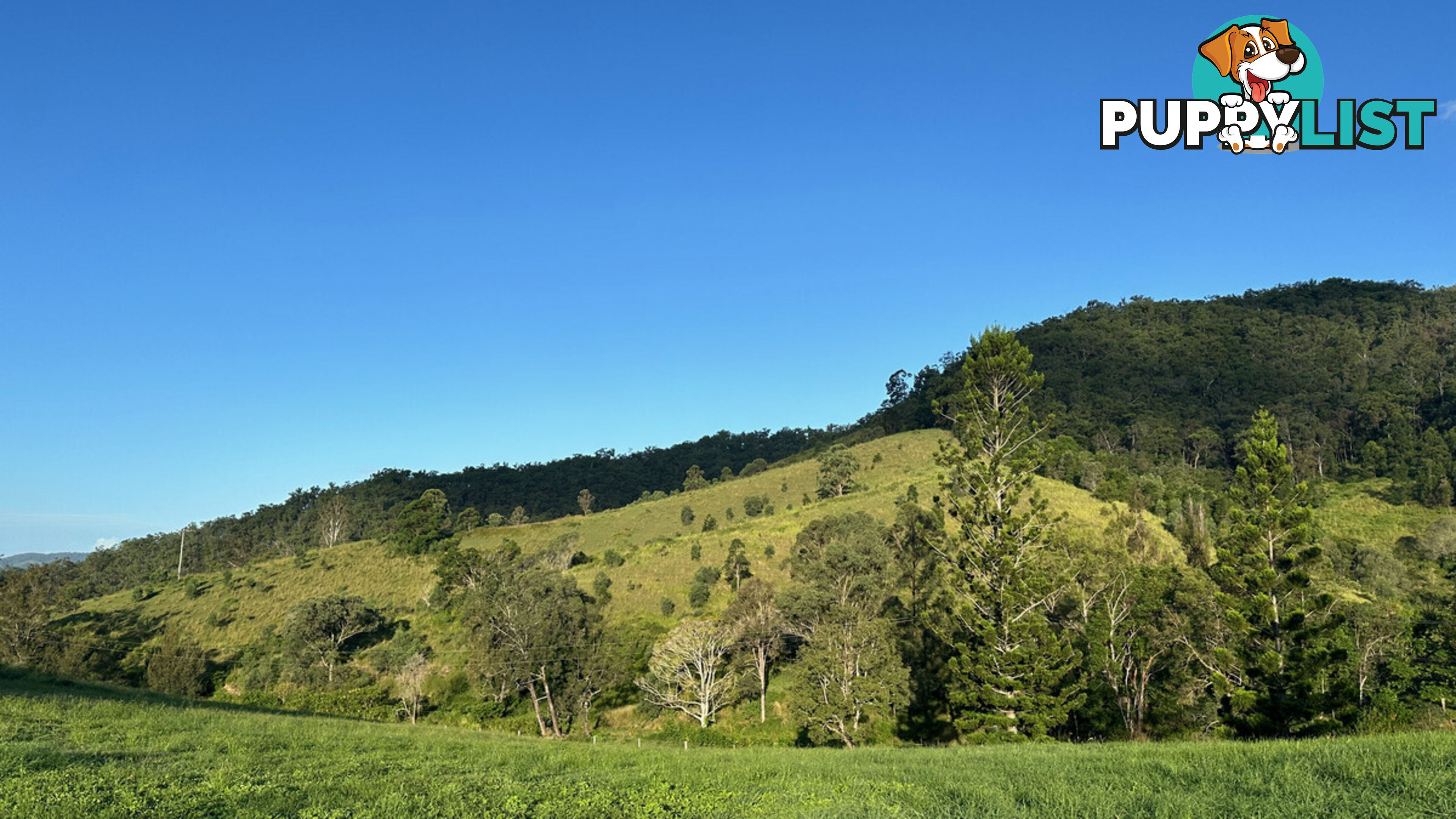 Lot 4 Armstrong Rise Estate Armstrong Creek QLD 4520