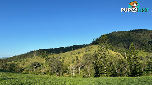 Lot 4 Armstrong Rise Estate Armstrong Creek QLD 4520