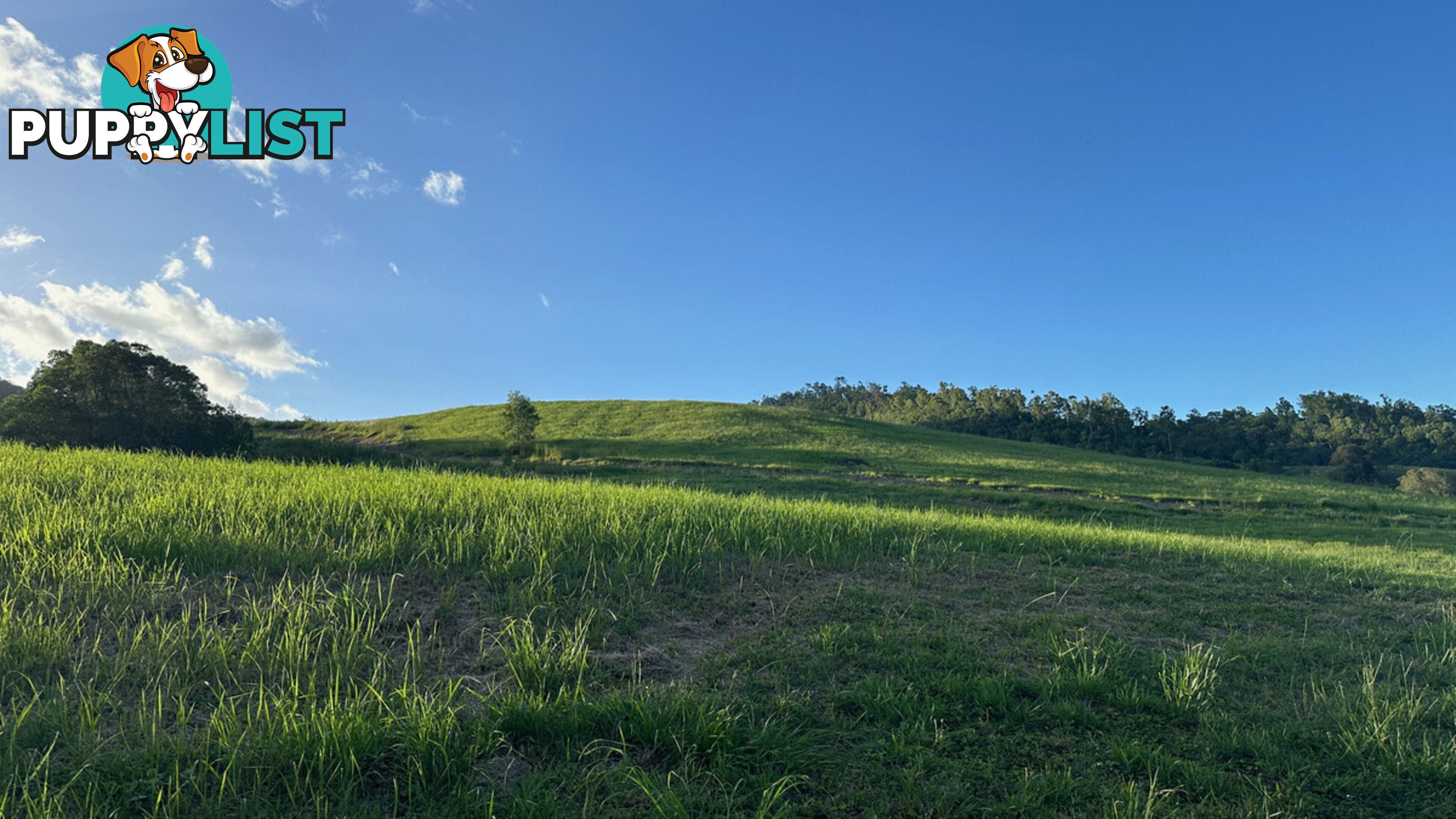 Lot 4 Armstrong Rise Estate Armstrong Creek QLD 4520