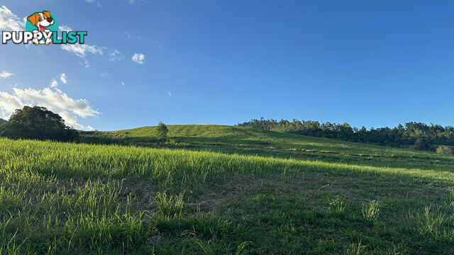 Lot 4 Armstrong Rise Estate Armstrong Creek QLD 4520