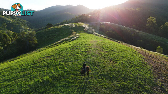 Lot 4 Armstrong Rise Estate Armstrong Creek QLD 4520