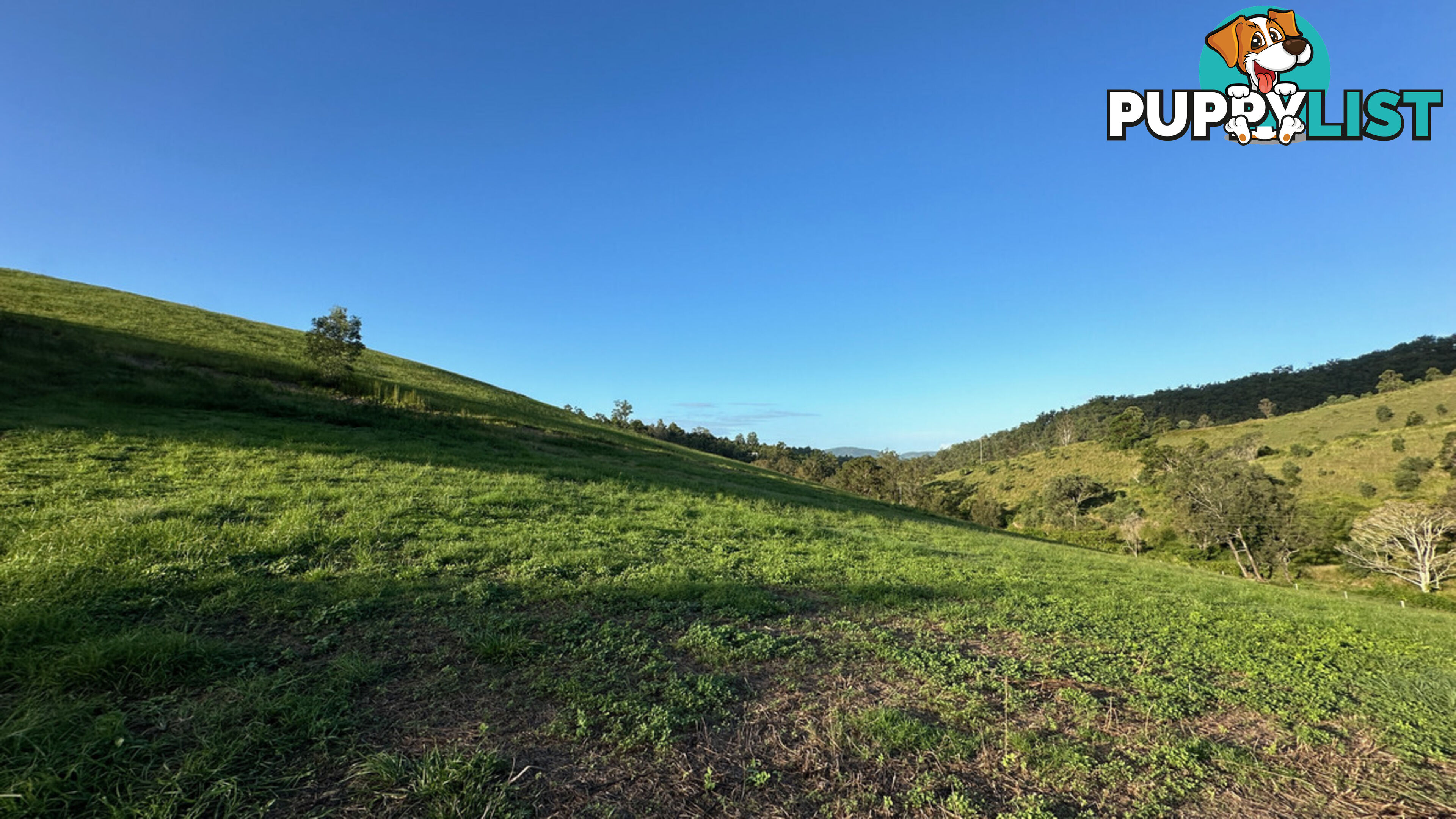 Lot 4 Armstrong Rise Estate Armstrong Creek QLD 4520