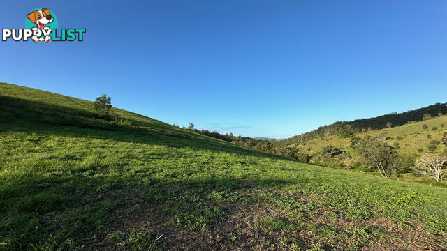 Lot 4 Armstrong Rise Estate Armstrong Creek QLD 4520