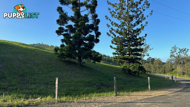 Lot 4 Armstrong Rise Estate Armstrong Creek QLD 4520