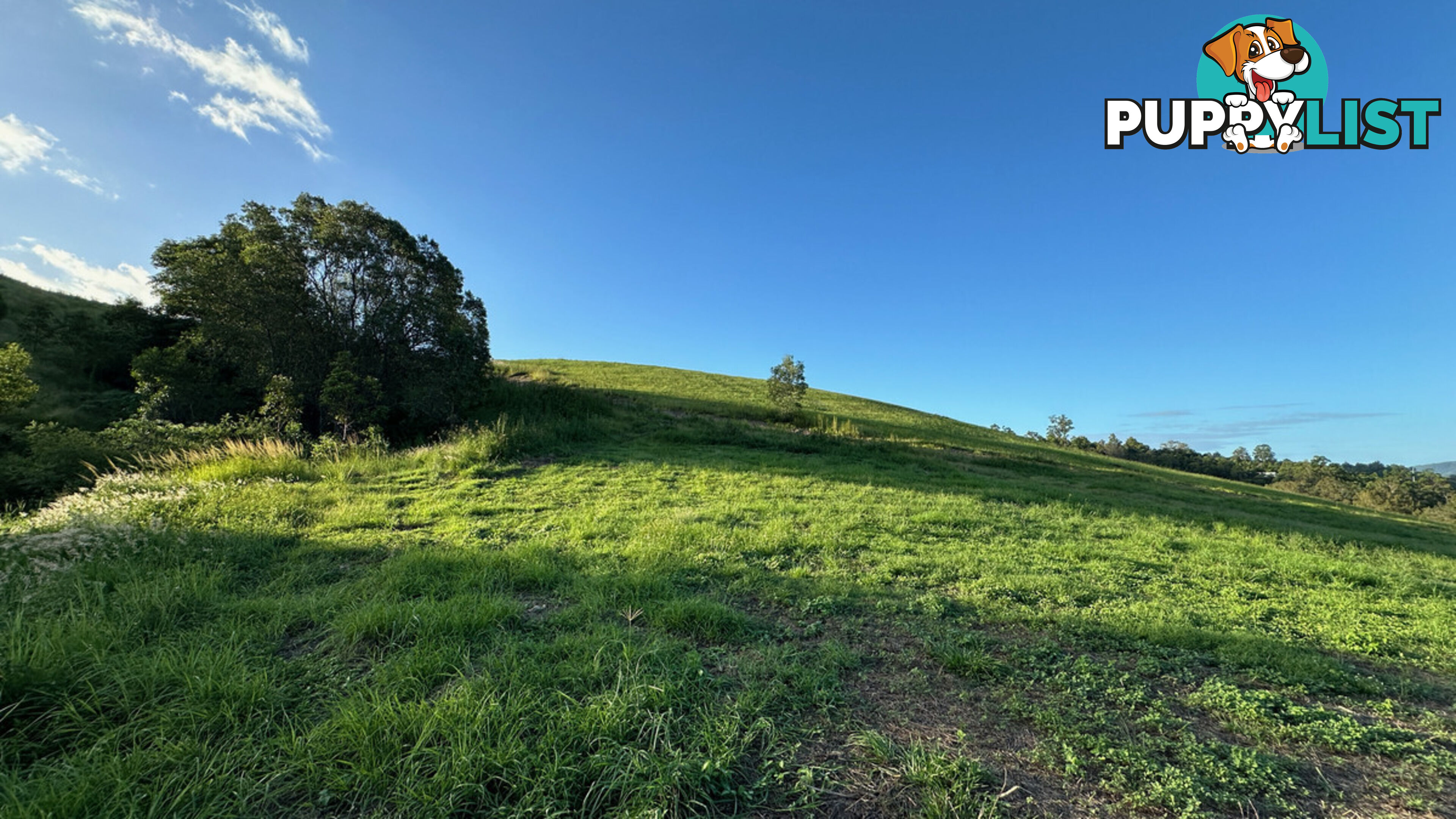 Lot 4 Armstrong Rise Estate Armstrong Creek QLD 4520