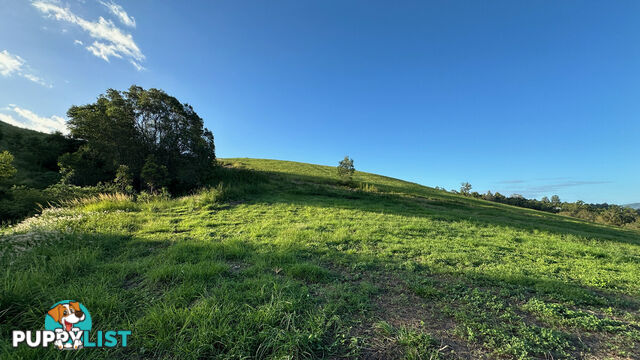 Lot 4 Armstrong Rise Estate Armstrong Creek QLD 4520