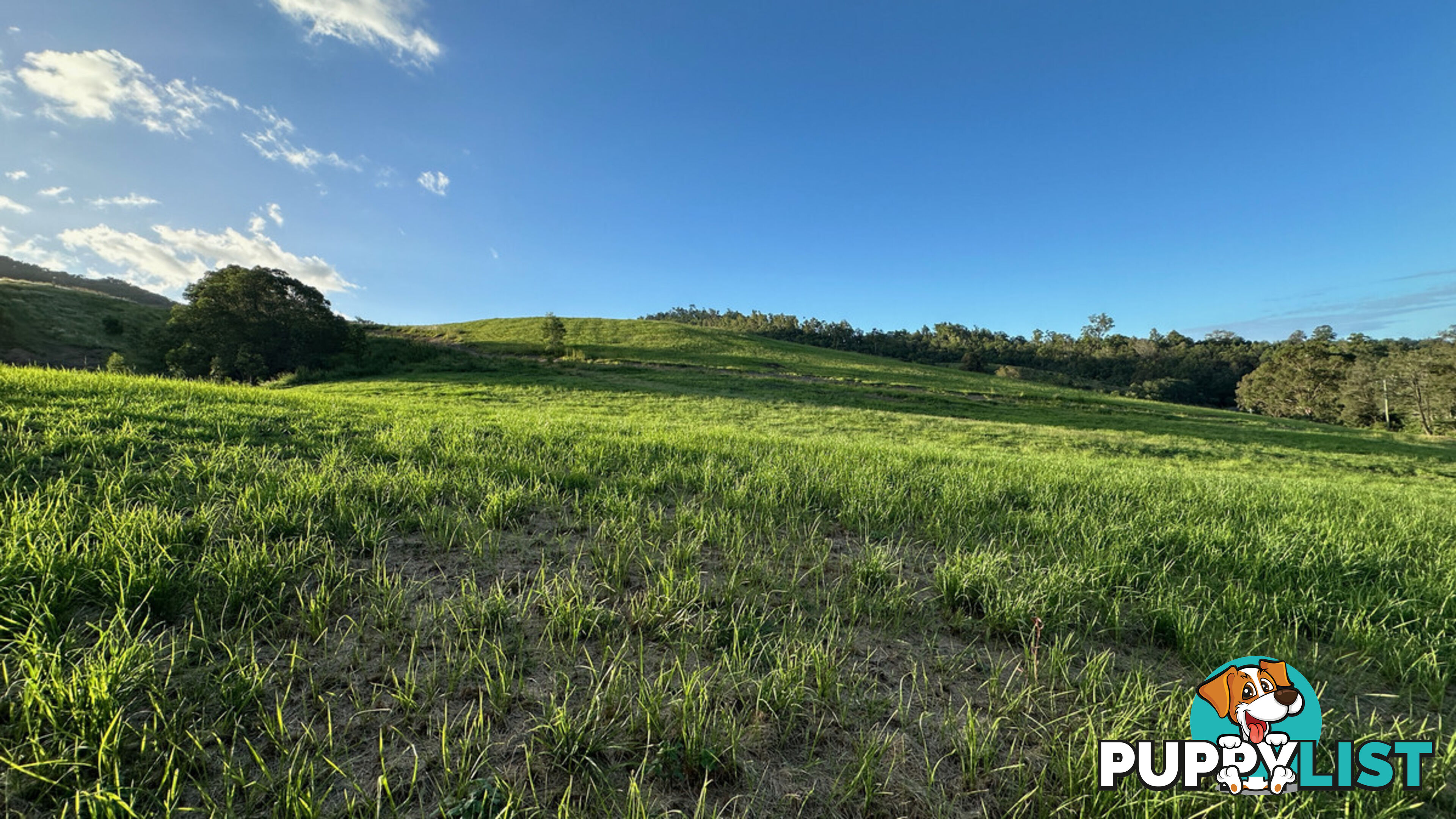 Lot 4 Armstrong Rise Estate Armstrong Creek QLD 4520