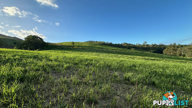 Lot 4 Armstrong Rise Estate Armstrong Creek QLD 4520