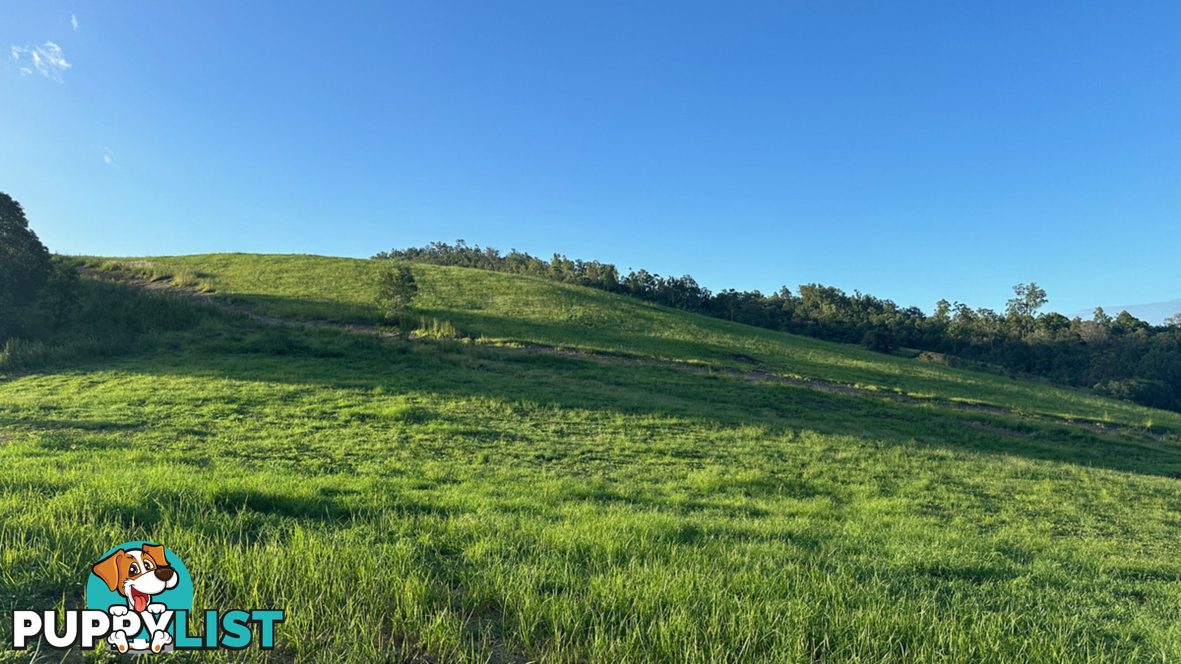 Lot 4 Armstrong Rise Estate Armstrong Creek QLD 4520