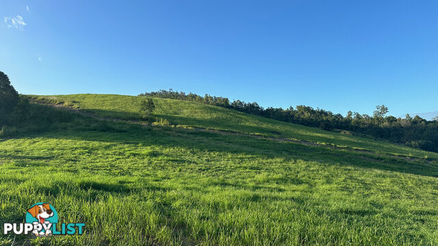 Lot 4 Armstrong Rise Estate Armstrong Creek QLD 4520