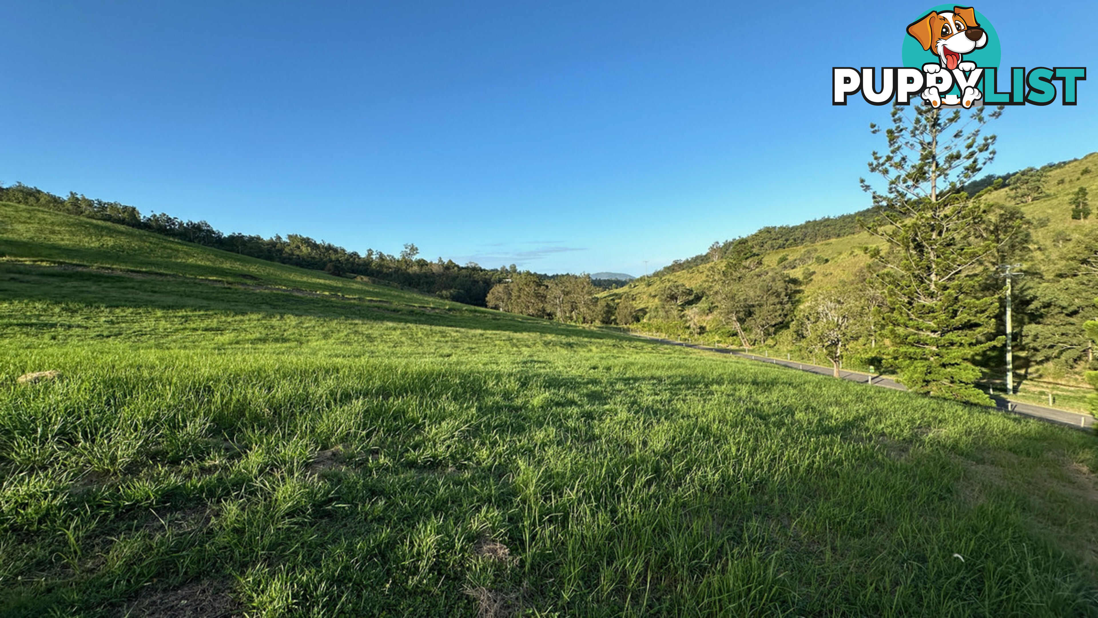 Lot 4 Armstrong Rise Estate Armstrong Creek QLD 4520