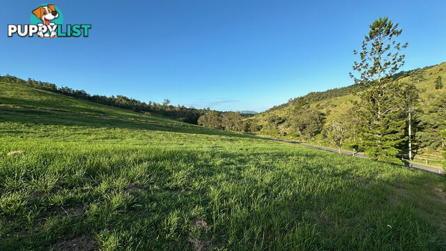 Lot 4 Armstrong Rise Estate Armstrong Creek QLD 4520