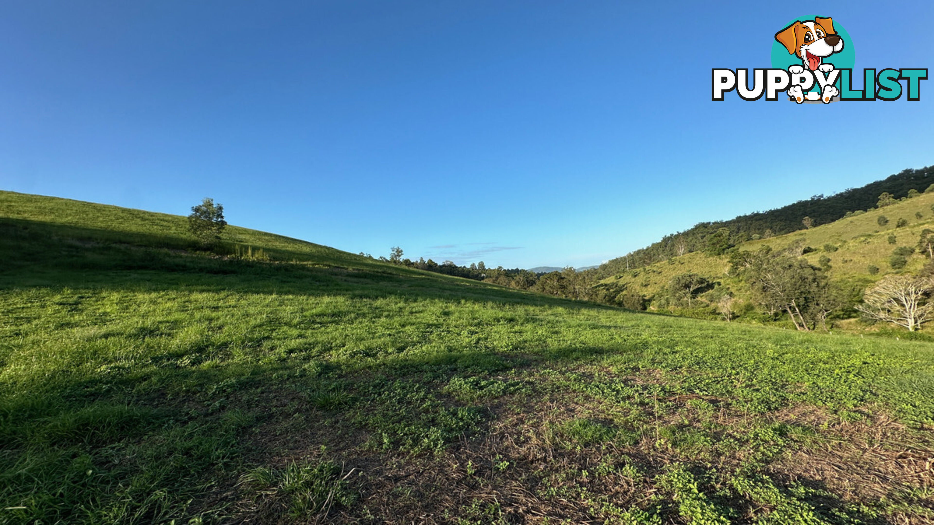 Lot 4 Armstrong Rise Estate Armstrong Creek QLD 4520