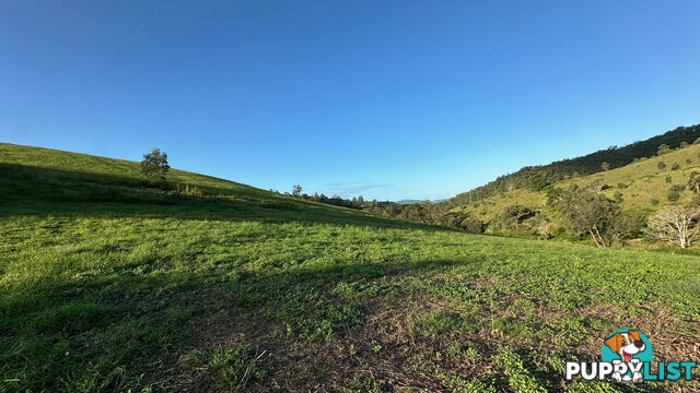 Lot 4 Armstrong Rise Estate Armstrong Creek QLD 4520