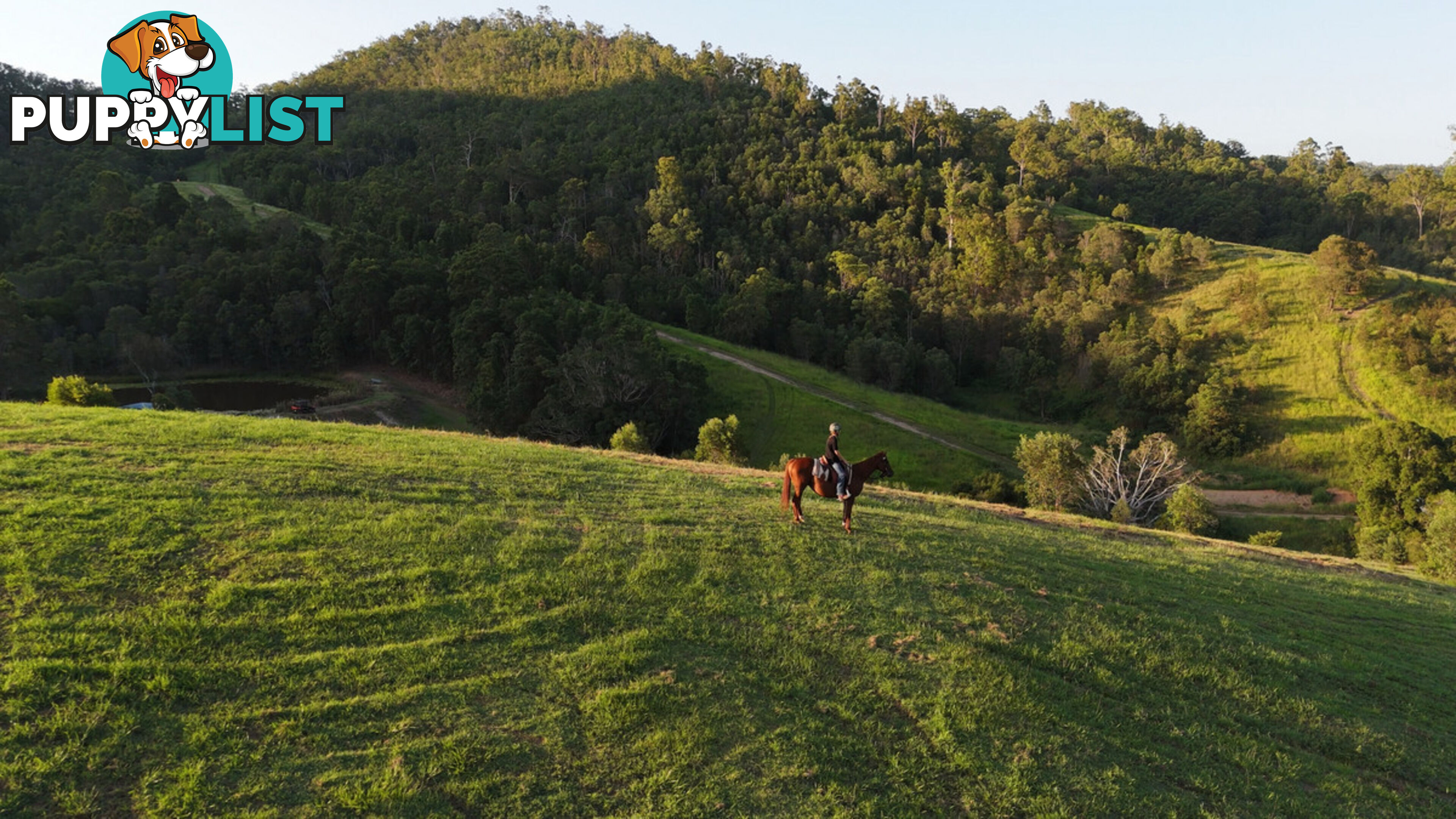 Lot 4 Armstrong Rise Estate Armstrong Creek QLD 4520