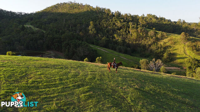 Lot 4 Armstrong Rise Estate Armstrong Creek QLD 4520