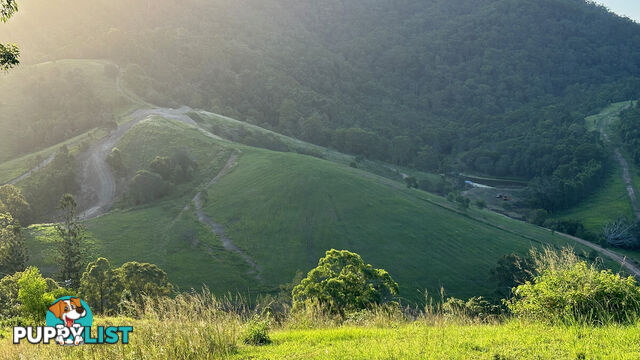 Lot 4 Armstrong Rise Estate Armstrong Creek QLD 4520