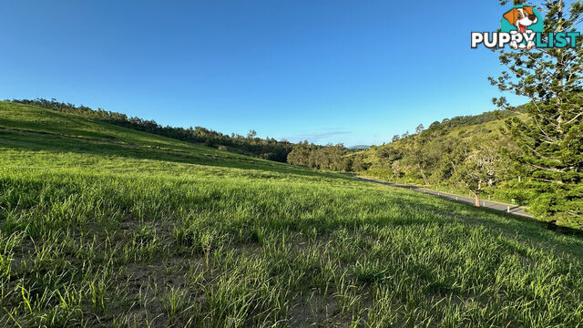 Lot 4 Armstrong Rise Estate Armstrong Creek QLD 4520