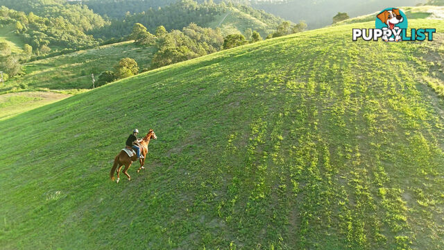 Lot 4 Armstrong Rise Estate Armstrong Creek QLD 4520