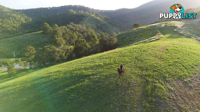 Lot 4 Armstrong Rise Estate Armstrong Creek QLD 4520