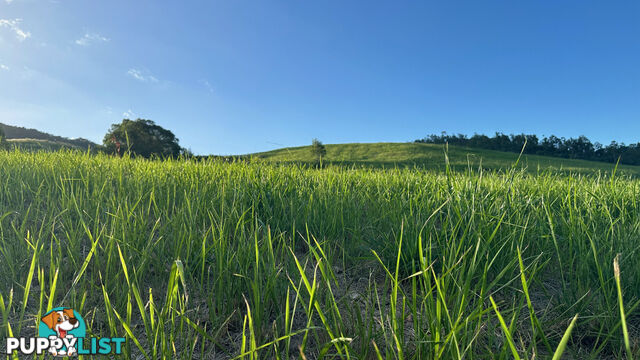 Lot 4 Armstrong Rise Estate Armstrong Creek QLD 4520