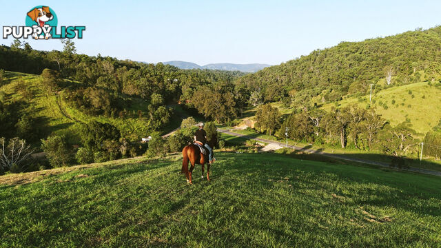 Lot 4 Armstrong Rise Estate Armstrong Creek QLD 4520