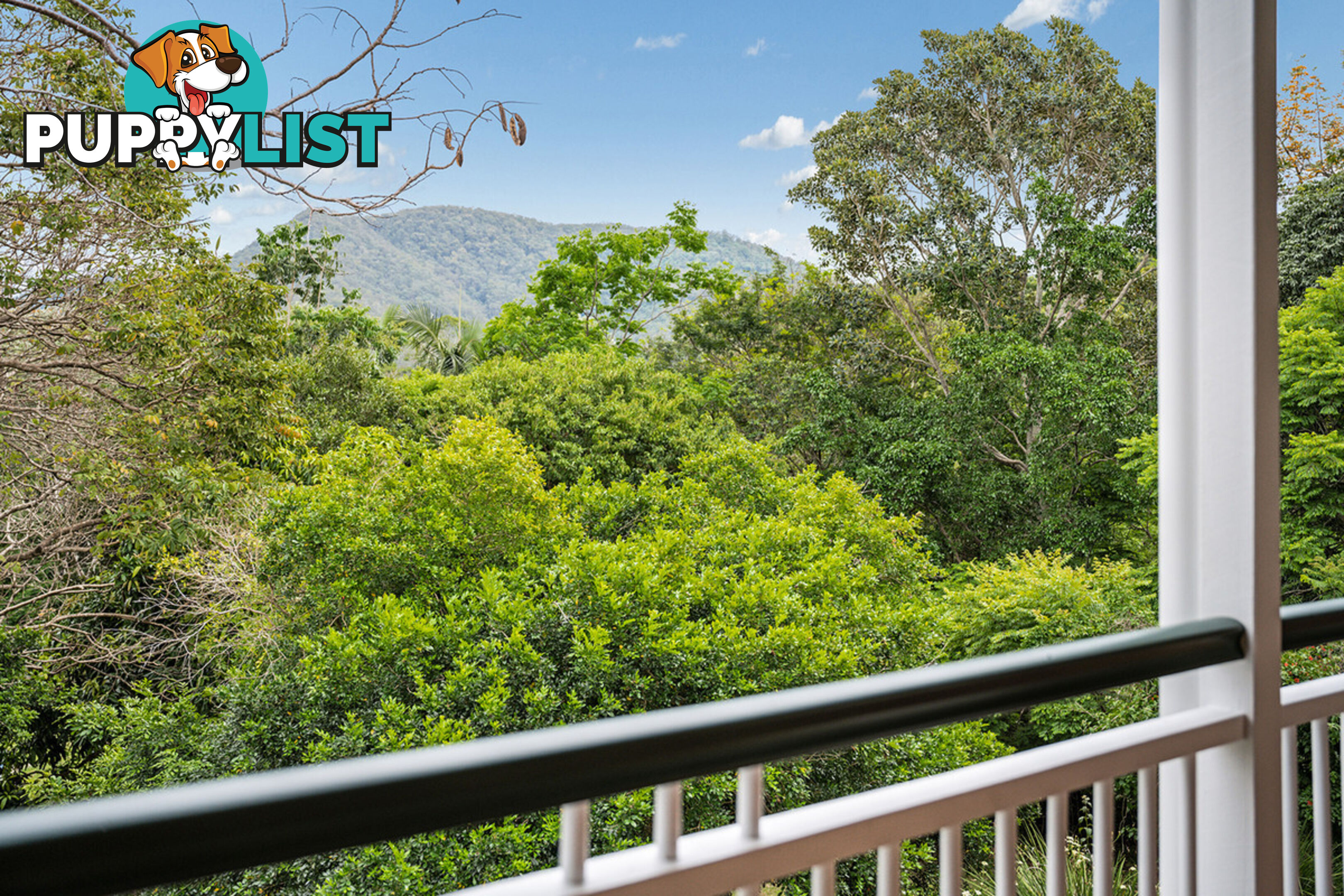 43 Honeywood Court Samford Valley QLD 4520