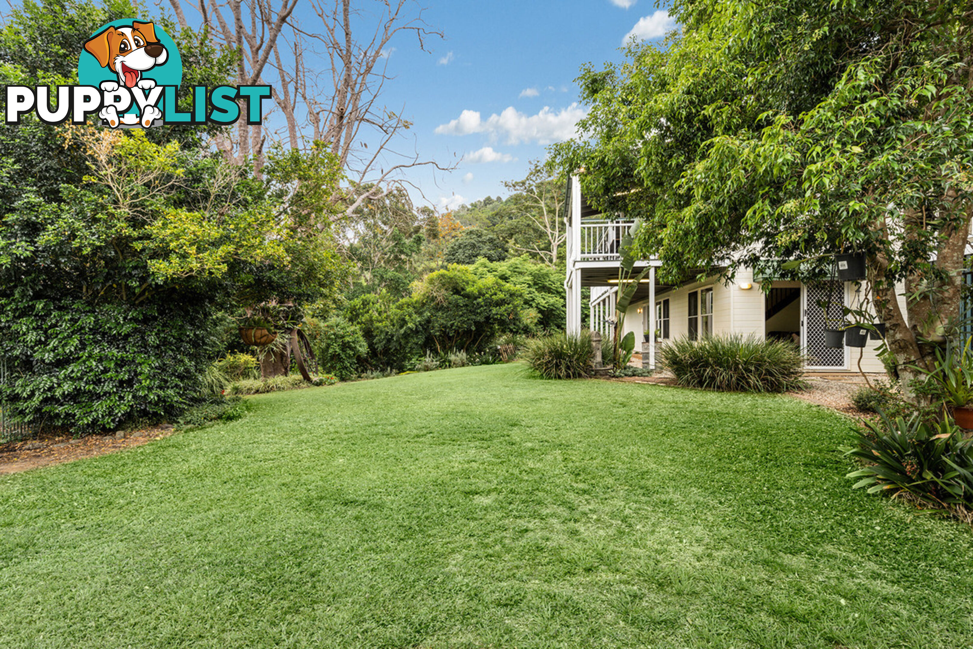 43 Honeywood Court Samford Valley QLD 4520