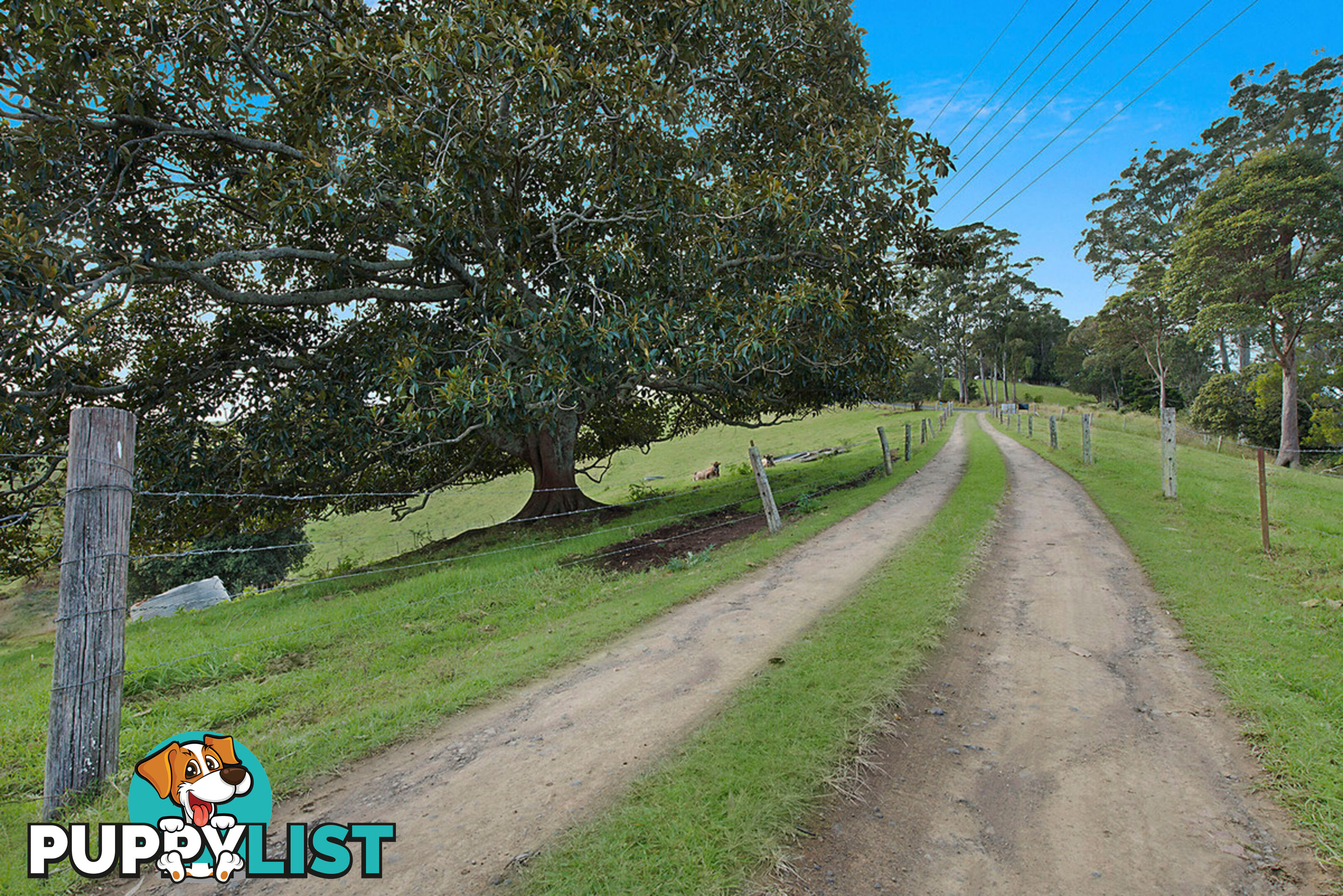 14 - 126 Sellin Road Mount Mee QLD 4521