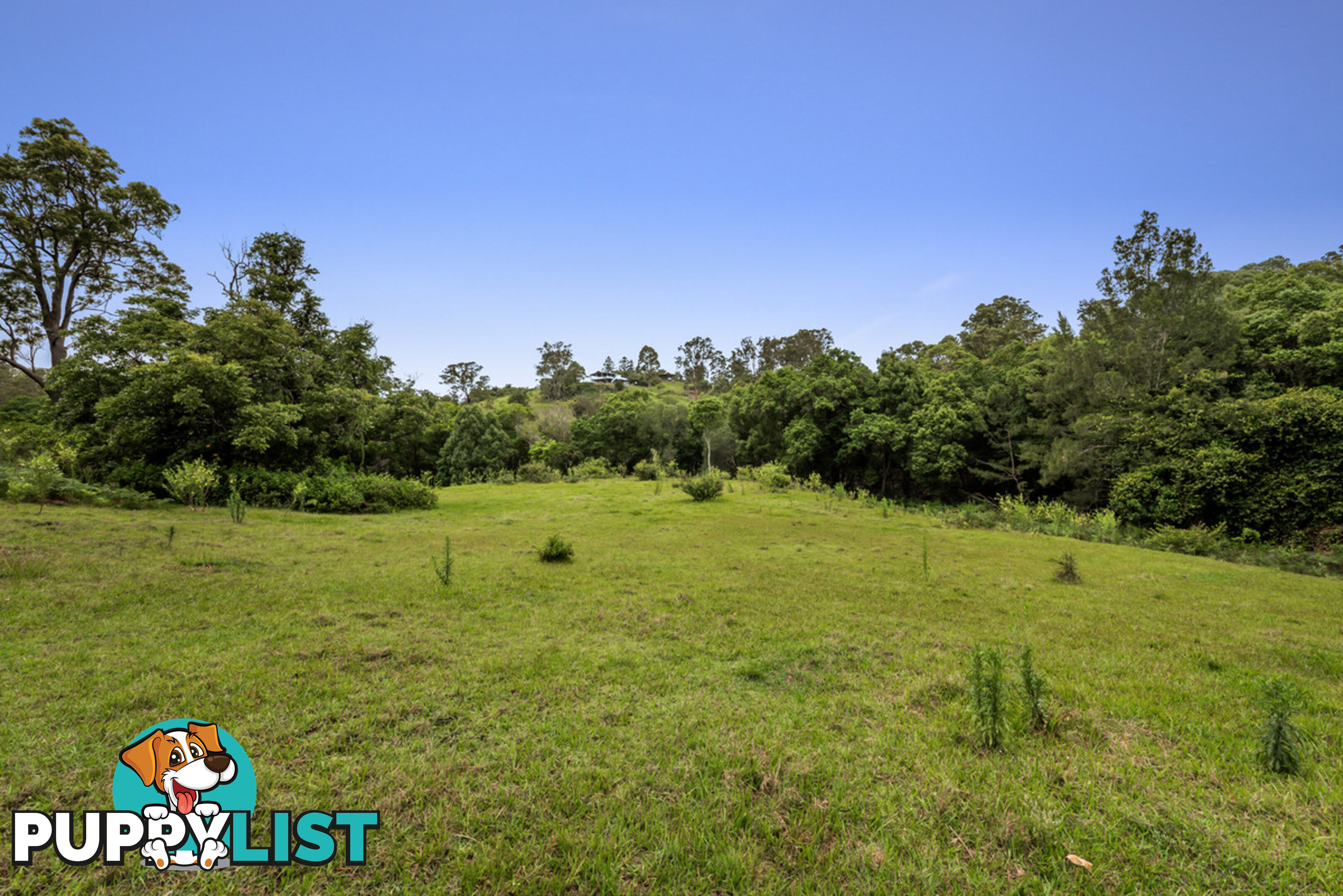 43-53 Branch Creek Road Clear Mountain QLD 4500